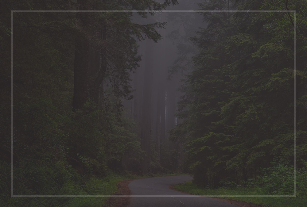 Cum se desfasoara o sedinta la psiholog